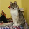 Отзыв от Клара Кожевникова